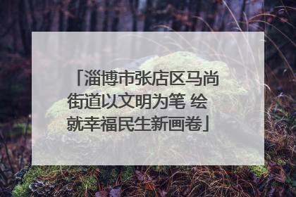 淄博市张店区马尚街道以文明为笔 绘就幸福民生新画卷