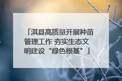 淇县高质量开展种苗管理工作 夯实生态文明建设“绿色根基”