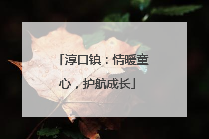 淳口镇：情暖童心，护航成长