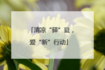 清凉“驿”夏，爱“新”行动
