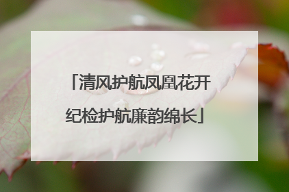 清风护航凤凰花开 纪检护航廉韵绵长