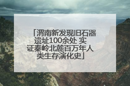 渭南新发现旧石器遗址100余处 实证秦岭北麓百万年人类生存演化史