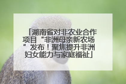 湖南省对非农业合作项目“非洲母亲新农场”发布！聚焦提升非洲妇女能力与家庭福祉
