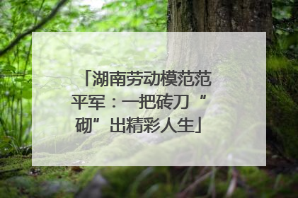 湖南劳动模范范平军：一把砖刀“砌”出精彩人生