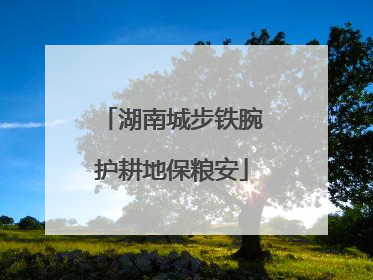 湖南城步铁腕护耕地保粮安
