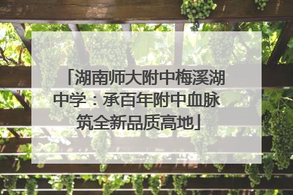 湖南师大附中梅溪湖中学：承百年附中血脉 筑全新品质高地