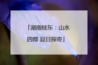 湖南桂东：山水四都 夏日探奇