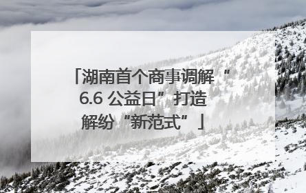 湖南首个商事调解“6.6 公益日”打造解纷“新范式”