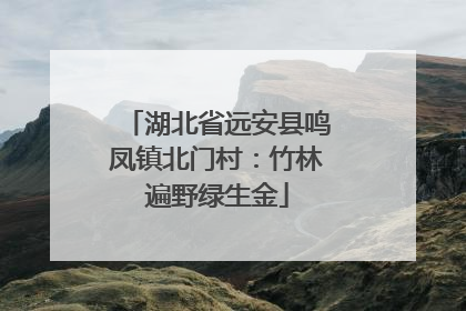湖北省远安县鸣凤镇北门村：竹林遍野绿生金