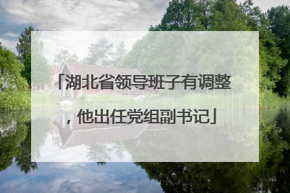 湖北省领导班子有调整，他出任党组副书记
