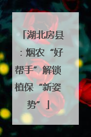 湖北房县：烟农“好帮手”解锁植保“新姿势”