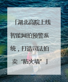 湖北高院上线智能网拍预警系统，打造司法拍卖“防火墙”