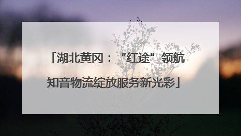 湖北黄冈：“红途”领航 知音物流绽放服务新光彩