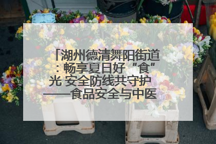 湖州德清舞阳街道：畅享夏日好“食”光 安全防线共守护——食品安全与中医养生知识宣传