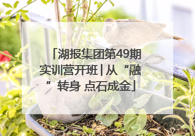 湖报集团第49期实训营开班│从“融”转身 点石成金