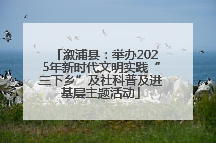 溆浦县：举办2025年新时代文明实践“三下乡”及社科普及进基层主题活动