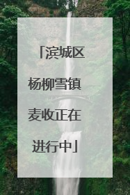 滨城区杨柳雪镇麦收正在进行中