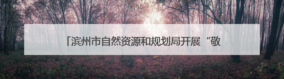 滨州市自然资源和规划局开展“敬畏法纪 珍惜自由”警示教育活动