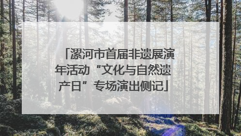 漯河市首届非遗展演年活动“文化与自然遗产日”专场演出侧记