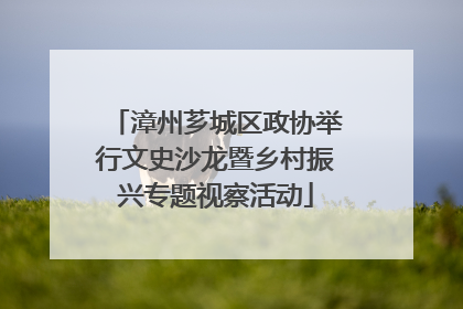 漳州芗城区政协举行文史沙龙暨乡村振兴专题视察活动
