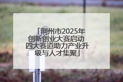 荆州市2025年创新创业大赛启动 四大赛道助力产业升级与人才集聚