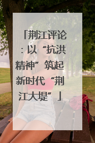 荆江评论：以“抗洪精神”筑起新时代“荆江大堤”