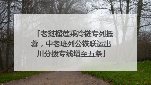 老挝榴莲乘冷链专列抵蓉，中老班列公铁联运出川分拨专线增至五条