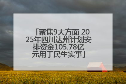 聚焦9大方面 2025年四川达州计划安排资金105.78亿元用于民生实事