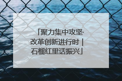 聚力集中攻坚·改革创新进行时｜石榴红里话振兴