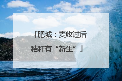 肥城：麦收过后秸秆有“新生”
