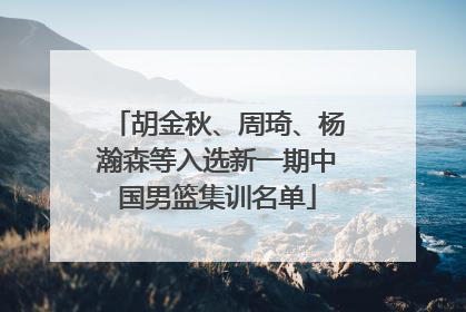 胡金秋、周琦、杨瀚森等入选新一期中国男篮集训名单