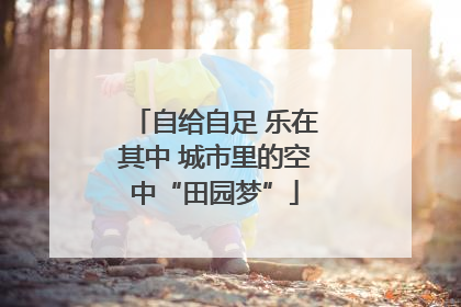 自给自足 乐在其中 城市里的空中“田园梦”