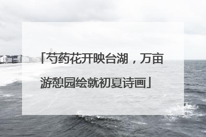 芍药花开映台湖，万亩游憩园绘就初夏诗画