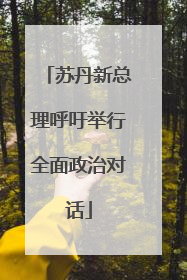 苏丹新总理呼吁举行全面政治对话