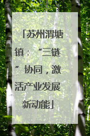 苏州渭塘镇：“三链”协同，激活产业发展新动能