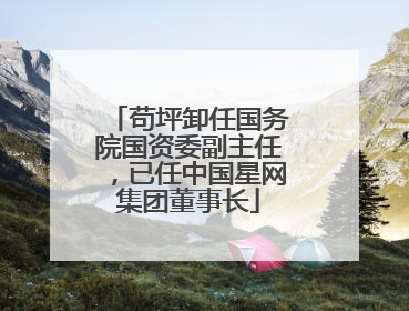 苟坪卸任国务院国资委副主任，已任中国星网集团董事长