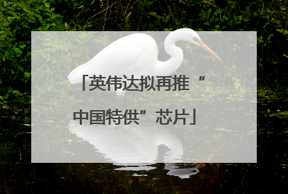 英伟达拟再推“中国特供”芯片