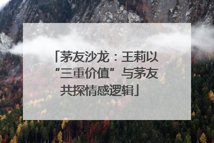 茅友沙龙：王莉以“三重价值”与茅友共探情感逻辑