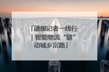 融媒记者一线行｜智能物流“链”动城乡富路