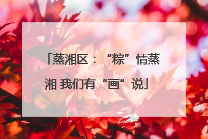 蒸湘区：“粽”情蒸湘 我们有“画”说