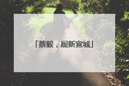 蔡毅，履新宣城