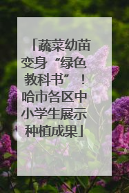 蔬菜幼苗变身“绿色教科书”！哈市各区中小学生展示种植成果