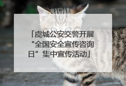 虞城公安交警开展“全国安全宣传咨询日”集中宣传活动