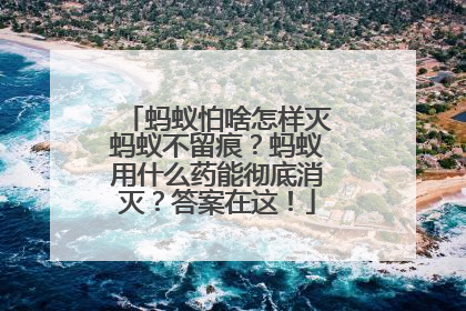 蚂蚁怕啥怎样灭蚂蚁不留痕？蚂蚁用什么药能彻底消灭？答案在这！