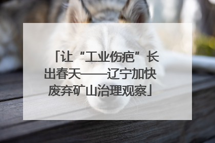 让“工业伤疤”长出春天——辽宁加快废弃矿山治理观察