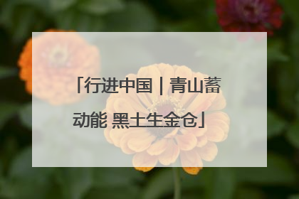 行进中国｜青山蓄动能 黑土生金仓