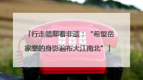行走赣鄱看非遗：“希望岳家拳的身影遍布大江南北”