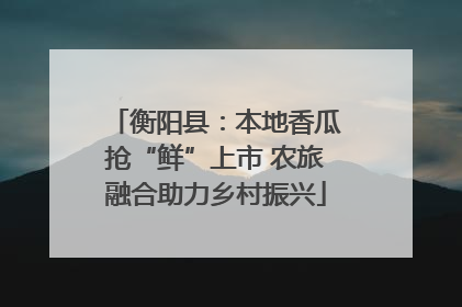 衡阳县：本地香瓜抢“鲜”上市 农旅融合助力乡村振兴