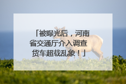 被曝光后，河南省交通厅介入调查货车超载乱象！