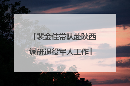 裴金佳带队赴陕西调研退役军人工作